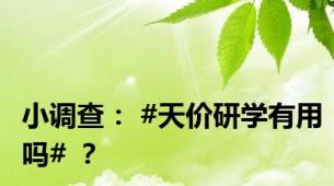 小调查： #天价研学有用吗# ？