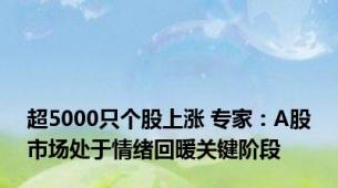 超5000只个股上涨 专家：A股市场处于情绪回暖关键阶段