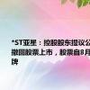 *ST亚星：控股股东提议公司主动撤回股票上市，股票自8月5日起停牌