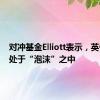 对冲基金Elliott表示，英伟达正处于“泡沫”之中