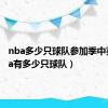 nba多少只球队参加季中赛（nba有多少只球队）