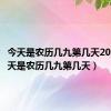 今天是农历几九第几天2023（今天是农历几九第几天）