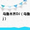 乌鲁木齐DJ（乌鲁木齐dj）