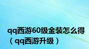 qq西游60级金装怎么得（qq西游升级）