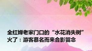 全红婵老家门口的“水花消失树”火了：游客慕名而来合影留念