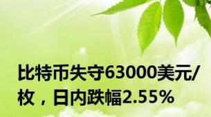 比特币失守63000美元/枚，日内跌幅2.55%