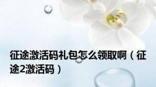 征途激活码礼包怎么领取啊（征途2激活码）