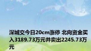 深城交今日20cm涨停 北向资金买入3189.73万元并卖出2245.73万元