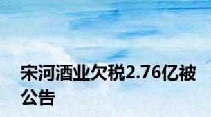 宋河酒业欠税2.76亿被公告