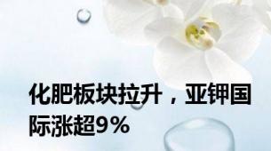 化肥板块拉升，亚钾国际涨超9%