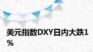 美元指数DXY日内大跌1%