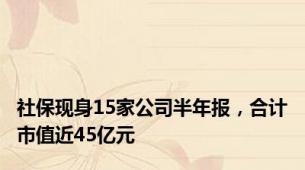 社保现身15家公司半年报，合计市值近45亿元