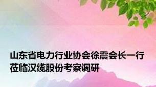 山东省电力行业协会徐震会长一行莅临汉缆股份考察调研