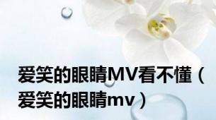 爱笑的眼睛MV看不懂（爱笑的眼睛mv）