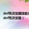 dnf死灵觉醒技能介绍（dnf死灵觉醒）