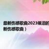 最新伤感歌曲2023催泪的歌（最新伤感歌曲）