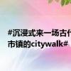 #沉浸式来一场古代运河市镇的citywalk#