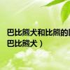 巴比熊犬和比熊的区别（巴比熊犬）