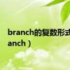 branch的复数形式（branch）