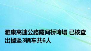 雅康高速公路隧间桥垮塌 已核查出掉坠3辆车共6人