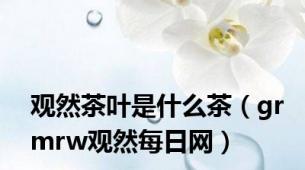 观然茶叶是什么茶（grmrw观然每日网）