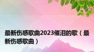 最新伤感歌曲2023催泪的歌（最新伤感歌曲）