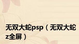 无双大蛇psp（无双大蛇z全屏）