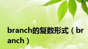 branch的复数形式（branch）