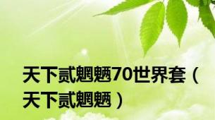 天下贰魍魉70世界套（天下贰魍魉）