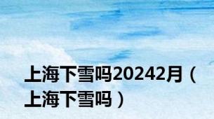 上海下雪吗20242月（上海下雪吗）