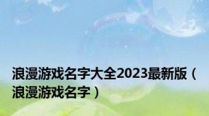 浪漫游戏名字大全2023最新版（浪漫游戏名字）