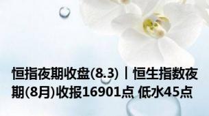 恒指夜期收盘(8.3)︱恒生指数夜期(8月)收报16901点 低水45点