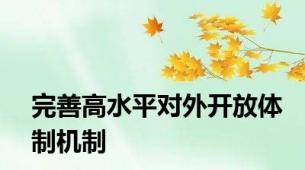 完善高水平对外开放体制机制