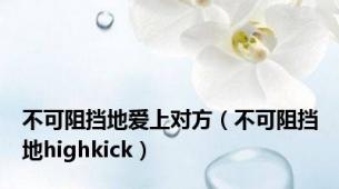 不可阻挡地爱上对方（不可阻挡地highkick）