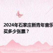 2024年石家庄新青年音乐节可以买多少张票？