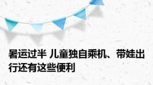 暑运过半 儿童独自乘机、带娃出行还有这些便利