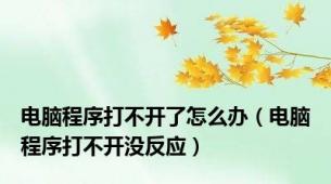 电脑程序打不开了怎么办（电脑程序打不开没反应）