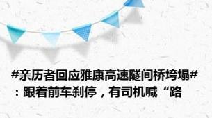 #亲历者回应雅康高速隧间桥垮塌#：跟着前车刹停，有司机喊“路