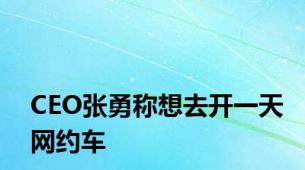 CEO张勇称想去开一天网约车