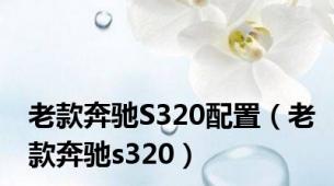 老款奔驰S320配置（老款奔驰s320）