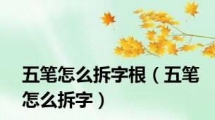 五笔怎么拆字根（五笔怎么拆字）