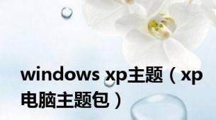 windows xp主题（xp电脑主题包）