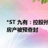 *ST 九有：控股孙公司房产被预查封