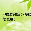 cf端游升级（cf升级补丁怎么用）