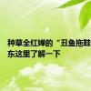 种草全红婵的“丑鱼拖鞋”？广东这里了解一下