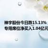 神宇股份今日跌15.13% 三机构专用席位净买入1.04亿元