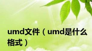 umd文件（umd是什么格式）