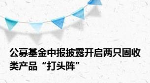 公募基金中报披露开启两只固收类产品“打头阵”