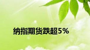 纳指期货跌超5%