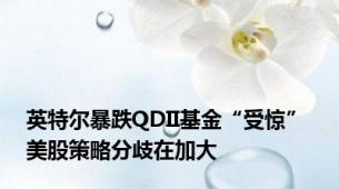 英特尔暴跌QDII基金“受惊” 美股策略分歧在加大